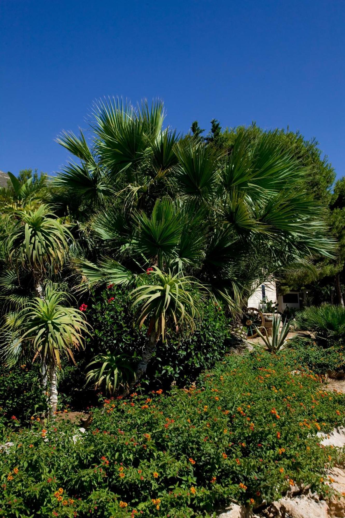 Miramare Residence ฟาวีญานา ภายนอก รูปภาพ